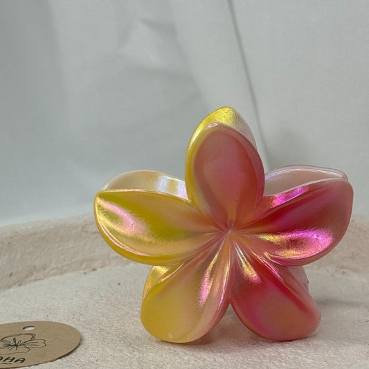 Pince fleurs brillante rose jaune