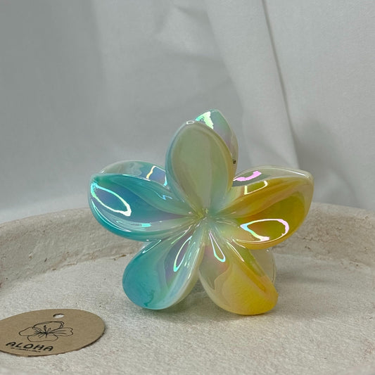 Pince fleurs brillante jaune et bleu