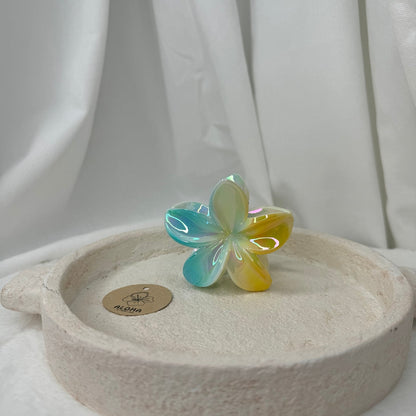 Pince fleurs brillante jaune et bleu