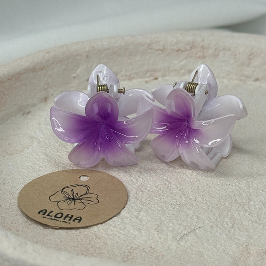 Pinces fleurs mini blanche cœur violet