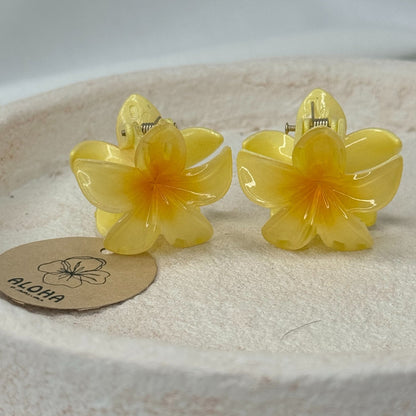 Pinces fleurs mini jaune