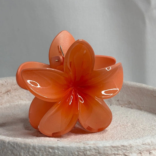 Pince fleurs orange