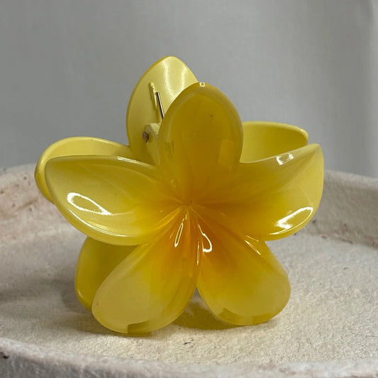 Pince fleurs jaune