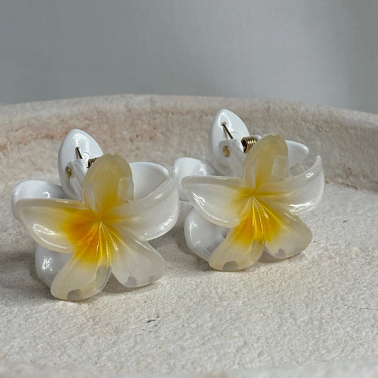 Pinces fleurs mini blanche coeur jaune