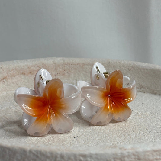 Pinces fleurs mini blanche coeur orange